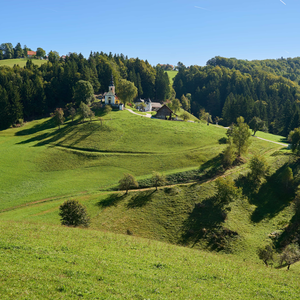 Dobrovlje pri Mozirju