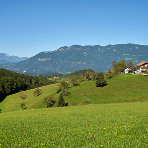 Dobrovlje pri Mozirju