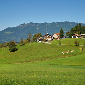 Dobrovlje pri Mozirju