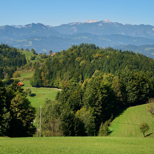 Dobrovlje pri Mozirju