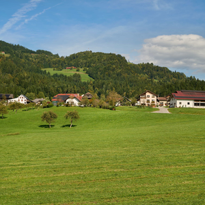 Florjan pri Gornjem Gradu