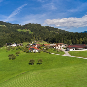 Florjan pri Gornjem Gradu