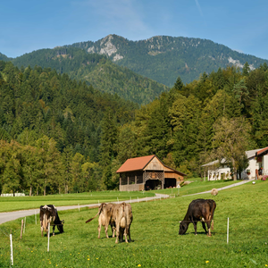 Lenart pri Gornjem Gradu