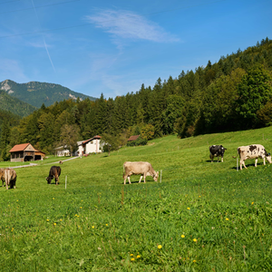 Lenart pri Gornjem Gradu