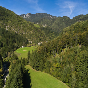 Lenart pri Gornjem Gradu