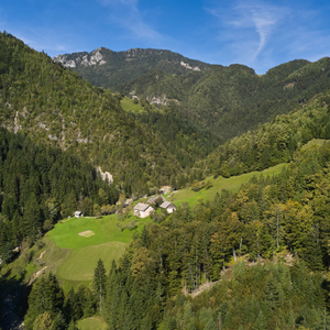 Lenart pri Gornjem Gradu