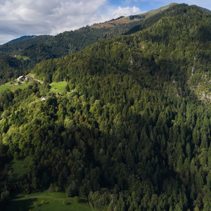 Lenart pri Gornjem Gradu