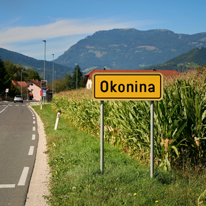 Okonina