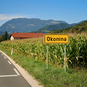 Okonina