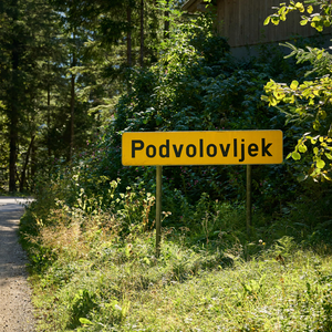 Podvolovljek