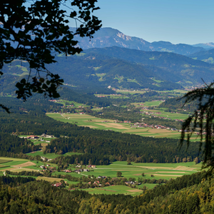 Pogledi s Crete proti Ljubnemu 