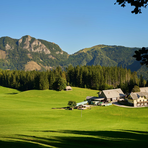 Rogatec in Lepenatka 