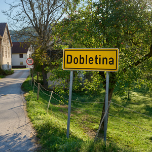 Dobletina