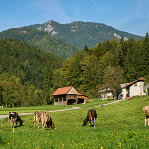 Lenart pri Gornjem Gradu