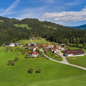 Florjan pri Gornjem Gradu